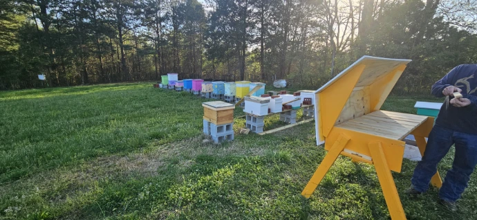 Apiary Bee Yard